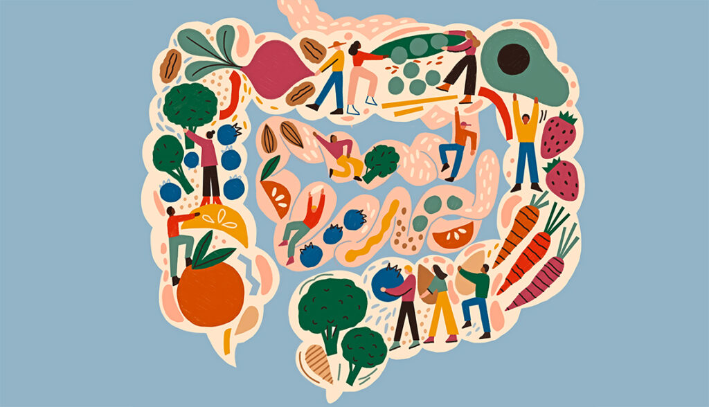 Healthy Gut